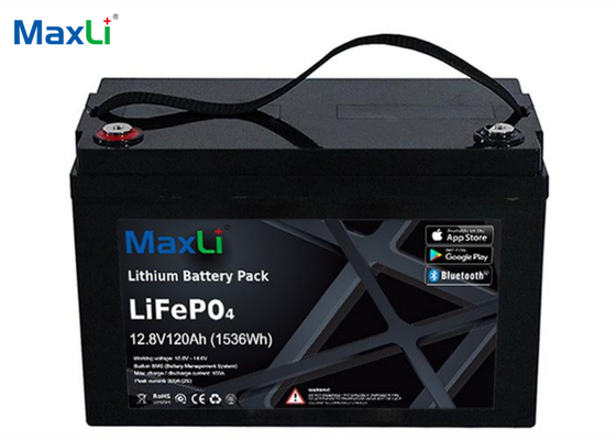 RV 12V 100 Ah Lithium Battery With Smart BMS / Bluetooth OEM