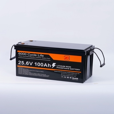 Compact 24V LiFePO4 Battery Pack 100A Max Discharge Current Long Lasting