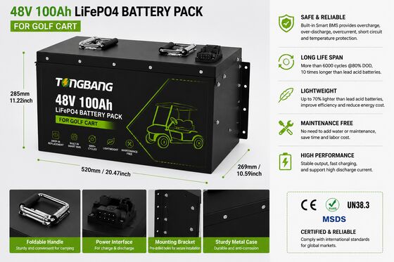 48V 100Ah LiFePO4 Battery for Golf Cart and Sightseeing Vehicles