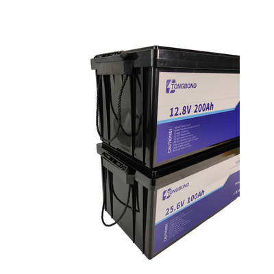 Shock Resistant LFP Lifepo4 Battery With BMS Ultra Low Self Discharge Rate