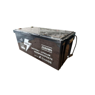 25.6V 100Ah Rechargeable 24V LiFePO4 Battery Pack Compact Long Lasting Performance