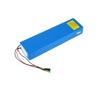 Rechargeable 2 Wheeler EV Lithium Ion Battery For E Bike